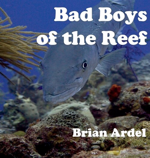 Bad Boys of the Reef (Hardcover)