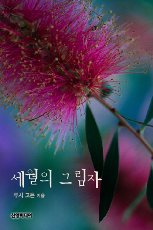 세월의 그림자