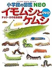 [중고] Caterpillar and Caterpillar (Hardcover)