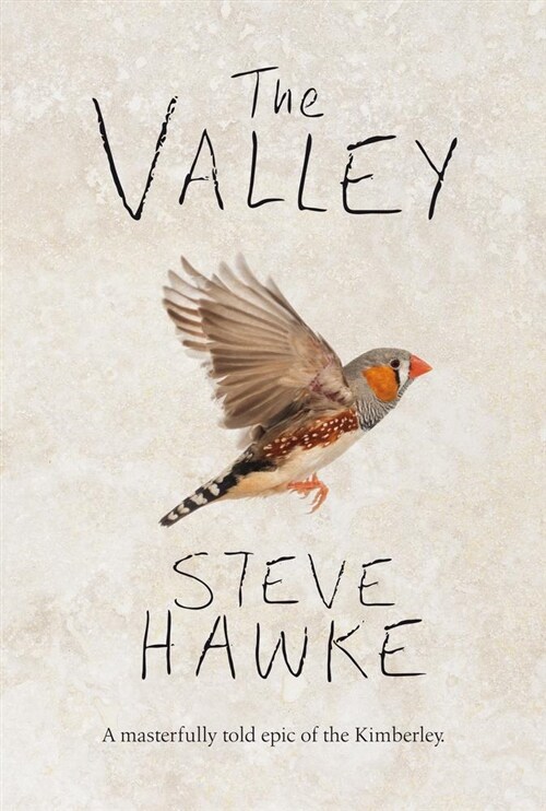 The Valley (Paperback)