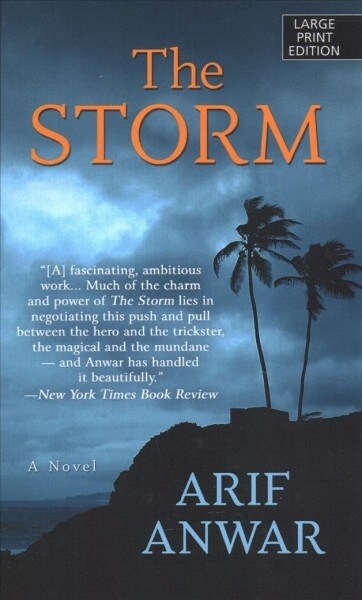 The Storm (Library Binding)