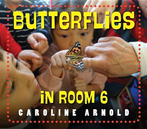[중고] Butterflies in Room 6: See How They Grow (Hardcover)