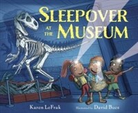 Sleepover at the Museum (Hardcover)