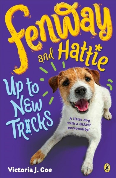 Fenway and Hattie Up to New Tricks (Paperback, DGS)