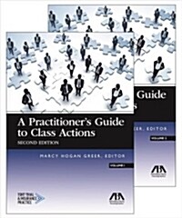 A Practitioners Guide to Class Actions (Paperback, 2)
