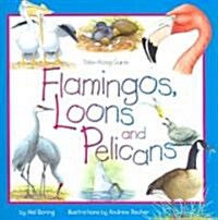 Flamingos, Loons And Pelicans (Hardcover)