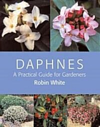 Daphnes (Hardcover)