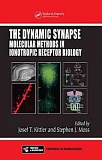 The Dynamic Synapse: Molecular Methods in Ionotropic Receptor Biology (Hardcover)