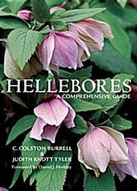 Hellebores: A Comprehensive Guide (Hardcover)