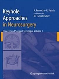 Keyhole Approaches in Neurosurgery: Volume 1: Concept and Surgical Technique (Hardcover)