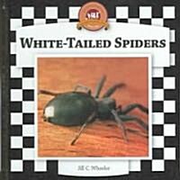 Spiders Set 2: Checkerboard Animal Library Anniversary Edition (Library Binding)