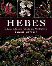 Hebes (Hardcover)