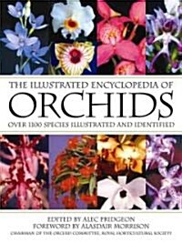 The Illustrated Encyclopedia of Orchids (Paperback)