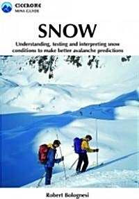 Snow : Understanding, Testing and Interpreting Snow Conditions to Make Better Avalanche Predictions (Paperback)