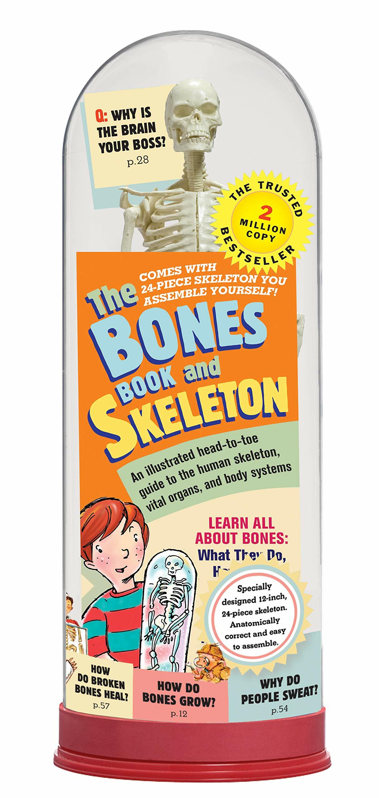 [중고] The Bones Book and Skeleton