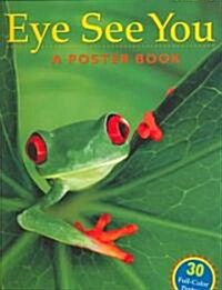 Eye See You: A Poster Book (Paperback)