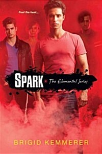 Spark (Paperback, 1st)