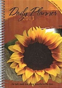 Daily Planner 2013 (Paperback, Engagement)