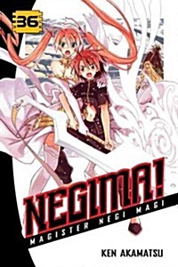 Negima! 36: Magister Negi Magi (Paperback)