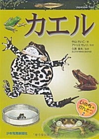 カエル (いのちのかんさつ 2) (大型本)