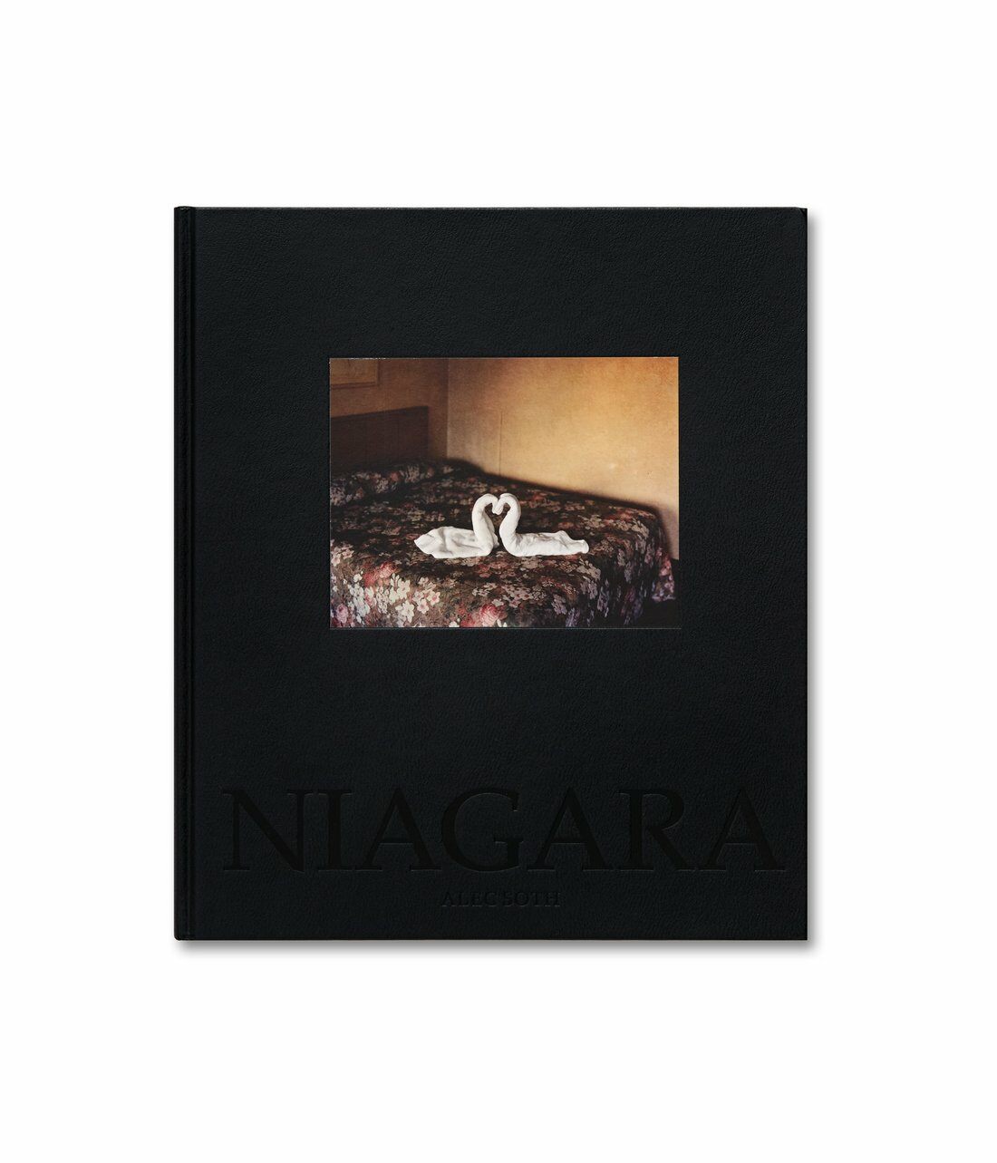 Niagara (Hardcover)