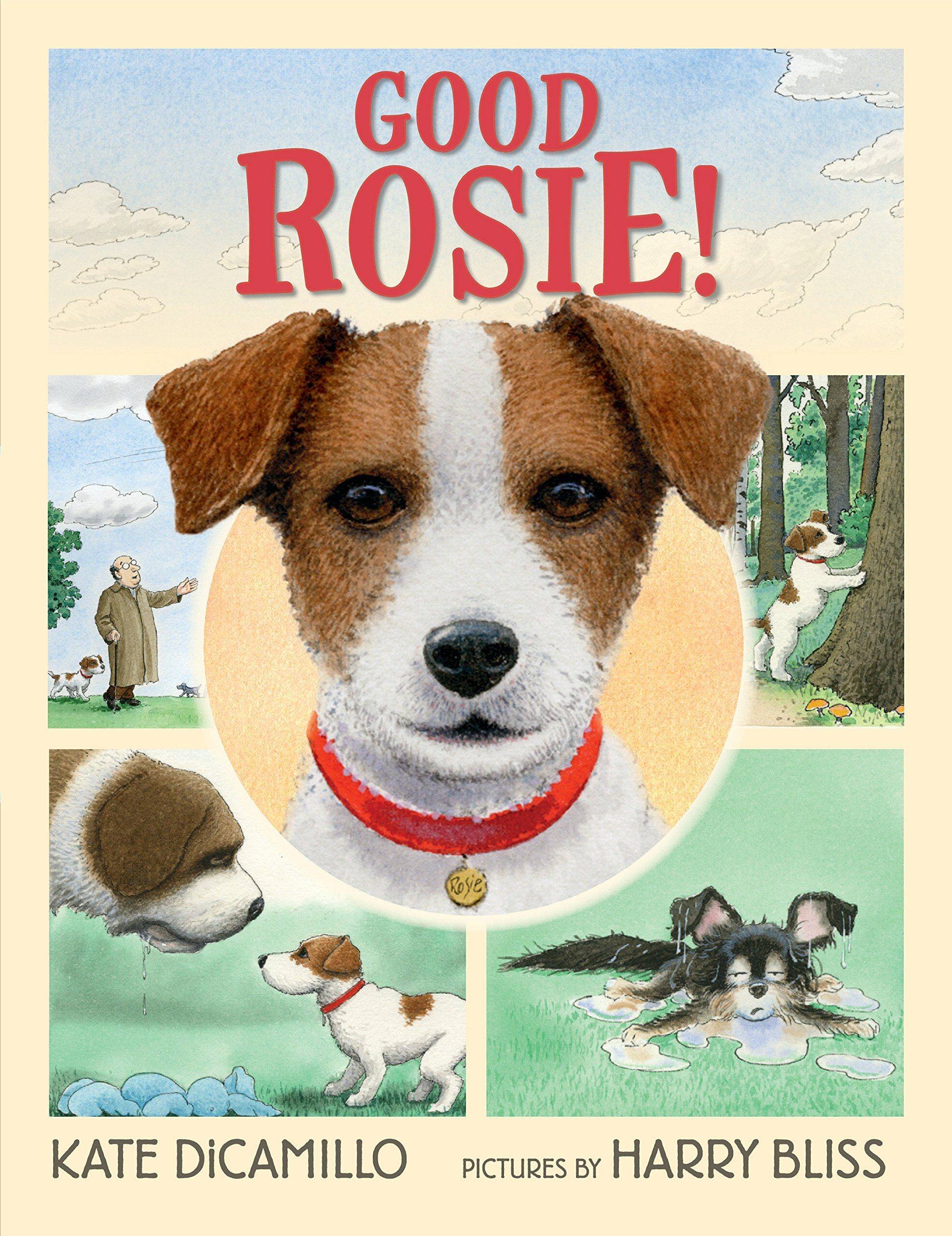 Good Rosie! (Hardcover)