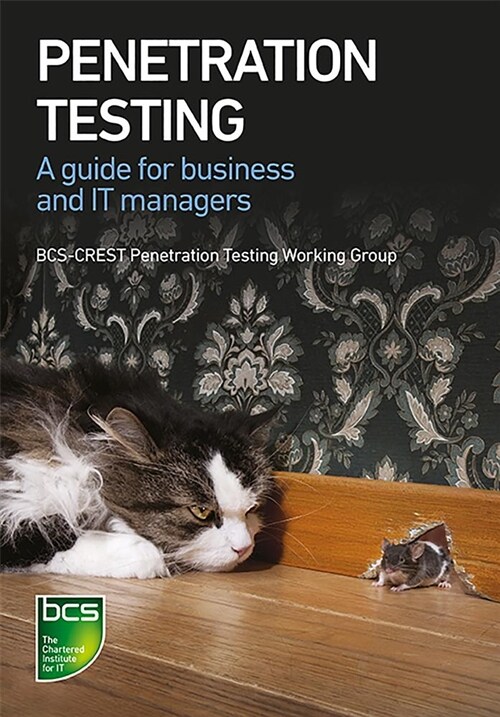 Penetration Testing : A guide for business and IT managers (Paperback)