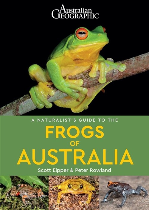 A Naturalists Guide to the Frogs of Australia (Paperback)