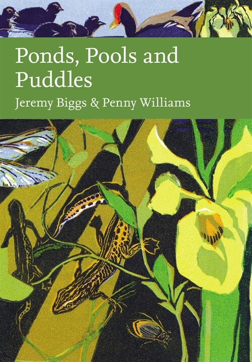 Ponds, Pools and Puddles (Hardcover)