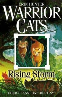 Rising Storm (Paperback)