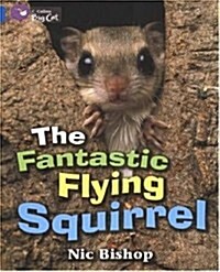 The Fantastic Flying Squirrel : Band 04/Blue (Paperback)