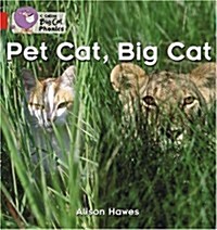 Pet Cat, Big Cat : Band 02a/Red A (Paperback)