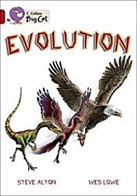 Evolution : Band 14/Ruby (Paperback)