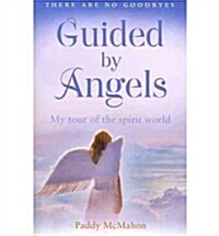 Guided by Angels : There Are No Goodbyes, My Tour of the Spirit World (Paperback)