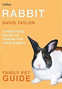 Rabbit (Paperback)