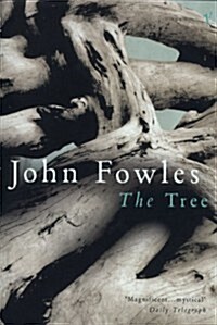 The Tree (Paperback)