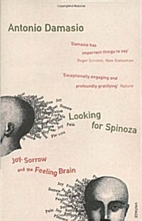 Looking For Spinoza : Joy, Sorrow and the Feeling Brain (Paperback)