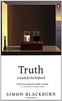 Truth: A Guide for the Perplexed (Paperback)