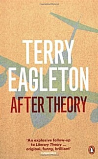 After Theory (Paperback)