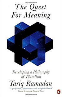The Quest for Meaning : Developing a Philosophy of Pluralism (Paperback)