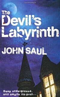 Devils Labyrinth (Paperback)