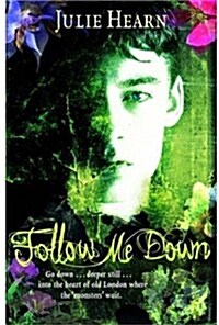 Follow Me Down (Paperback)