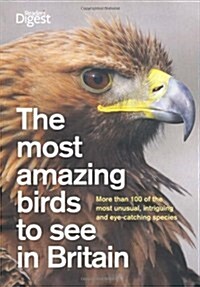 Most Amazing Birds to See in Britain (Paperback)