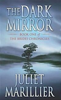 Dark Mirror (Paperback)