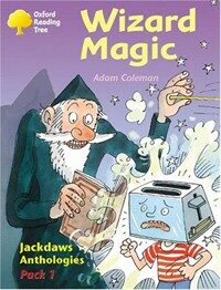 Oxford Reading Tree: Levels 8-11: Jackdaws: Pack 1: Wizard M (Paperback)