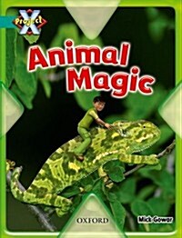 Project X: Hide and Seek: Animal Magic (Paperback)