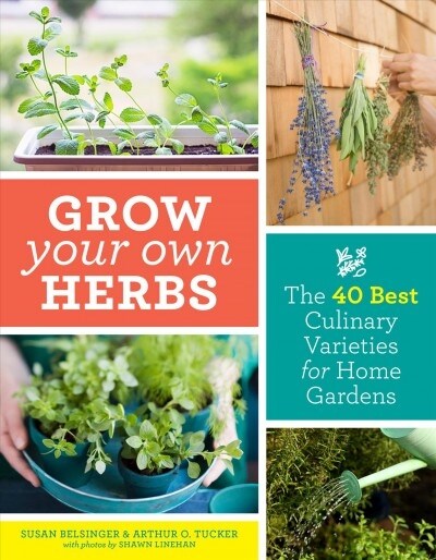 Grow Your Own Herbs: The 40 Best Culinary Varieties for Home Gardens (Paperback)