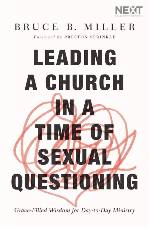 Leading a Church in a Time of Sexual Questioning: Grace-Filled Wisdom for Day-To-Day Ministry (Paperback)