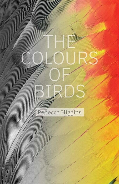 The Colours of Birds (Paperback, None)