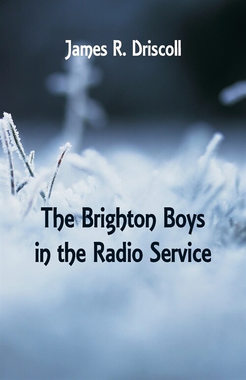The Brighton Boys in the Radio Service (Paperback)